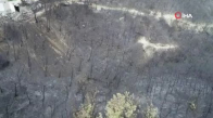 Yangın mağdurları PKK'ya lanet okudu 