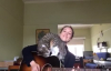 Kedi Şarkıya Gitarın Üzerinde Eşlik Ediyor