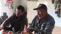 Kazakistan'da göçebe hayat- At çobanları
