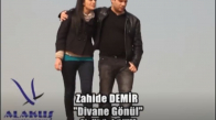  Zahide Demir - Divane Gönül