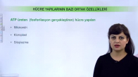 EBA BİYOLOJİ LİSE - CANLILARIN TEMEL BİRİMİ HÜCRE - HÜCRESEL YAPILARIN ÖZELLİKLERİ VE HÜCRELERİN KARŞILAŞTIRILMASI - HÜCRE YAPILARININ BAZI ORTAK ÖZELLİKLERİ