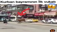 Kaçan Kurbanlığın Yayaya Çarpması