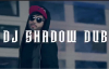 Aaja Ni Aaja - Bohemia - Dj Shadow Dubai - Releasing On 28th June (Teaser)