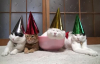 Yeni Yılı Kutlayan Kediler