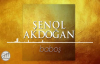 Şenol Akdoğan - Baboş