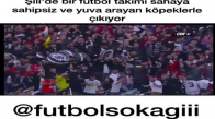 Sahaya Sahipsiz Köpeklerle Çıkan Futbolcular 