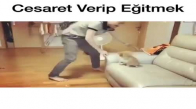 Cesaret Verip Eğitmek