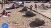 Gülmekten karnıma ağrılar girdi :)