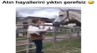 Atın Hayallerini Yıktın Şerefsiz