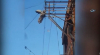 Adanalı Genç, Elektrik Direğine Tırmanıp Güvercinin Hayatını Kurtardı