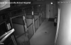 Hastaneden Ustalıkla Kaçan Köpeğin Helal Olsun Dedirten Görüntüsü