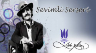 Sevimli Serseri 1971 Türk Filmi İzle