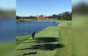 Golf Oynarken Ördek Avlamak