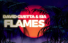 David Guetta & Sia - Flames 