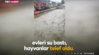 Bayburt'ta sel- Ev ve ahırları su bastı