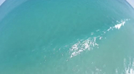 Maceraprestlerin Drone İle Köpekbalığı Yakalaması