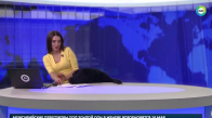 Rusya'da Canlı Yayına Dalıp Sunucuyu Korkutan Köpek