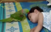 Uyuyan Bebeğin Başında Nöbet Tutan Papağan