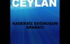 Ceylan - Dertler İnsanı