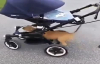 Köpeğin Şımarıklığı Üstünde, Bebek Arabasında Gezintiye de Çıkar