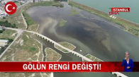 İstanbul Büyükçekmece Gölü'nün Rengi Değişti Balıklar Ölmeye Başladı! İşte Detaylar