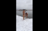 Rus Kızları Bikiniyle Donmuş Suya Girdiler