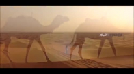 Ak 47 Sheik (Official Video HD)