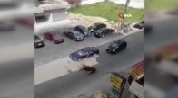 Lübnan'da başıboş at otomobile çarptı 