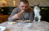 Sahibinin Yemeğine Göz Dikmiş Kedi 