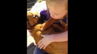 Köpeği Kucağında Uyutan Kız Çocuğu