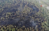 Heybeliada’da Yanan Ormanlık Alanın Son Durumu Görüntülendi