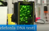 Telefonla DNA Testi