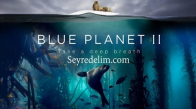 Blue Planet II Türkçe Altyazılı Belgesel Tüm Bölümleri İzle